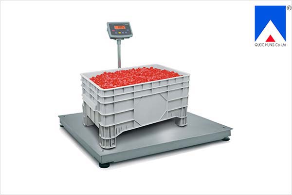 quoc-hung-corp-can-san-dien-tu-Miras-1500-3000-kg-IW2P4-1500WR-L-Minebea-Intec-1